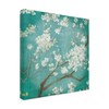 Trademark Fine Art Danhui Nai 'White Cherry Blossoms I Aged No Bird' Canvas Art, 14x14 WAP10684-C1414GG